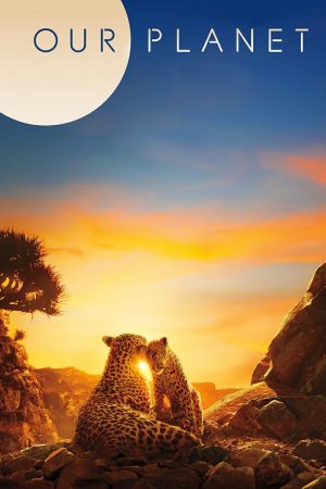 MV5BZmM2OWEyN2EtZWY2NS00ZDA3LWFlNTAtNzUzMGQwZWVlZmE4XkEyXkFqcGdeQXVyNjAwNDUxODI@._V1_